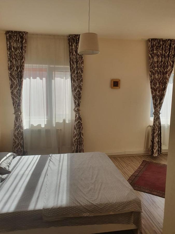 Relax Haus Hotel Hunedoara Exterior foto